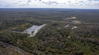 A rare opportunity awaits in the heart of Taylor County - photo 9