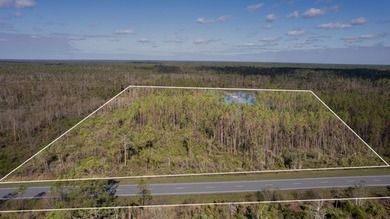 A rare opportunity awaits in the heart of Taylor County - photo 10