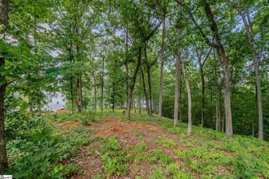 Point lots like this one surface once in a generation on Lake - photo 5