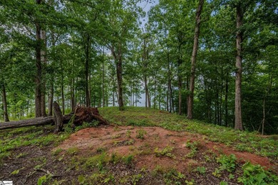 Point lots like this one surface once in a generation on Lake - photo 7