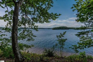 Point lots like this one surface once in a generation on Lake - photo 9