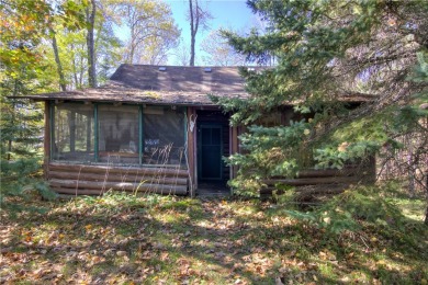 Lake Home For Sale in Winter, Wisconsin