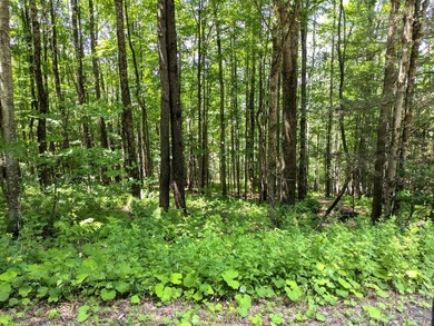 Beautiful wooded double lot totaling 11.17 acres, consisting of - photo 1