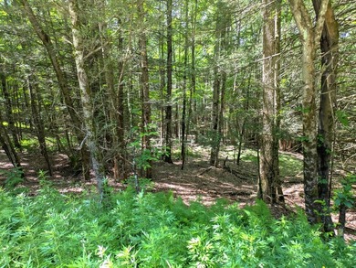 Beautiful wooded double lot totaling 11.17 acres, consisting of - photo 3