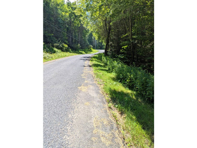 Beautiful wooded double lot totaling 11.17 acres, consisting of - photo 5