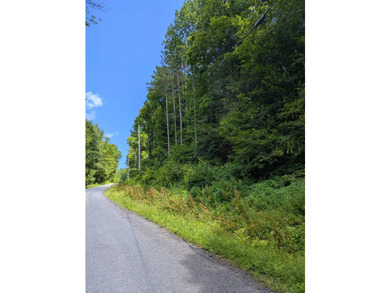 Beautiful wooded double lot totaling 11.17 acres, consisting of - photo 6