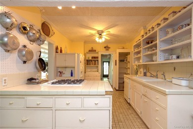 Tudor home located in one of the most sought after waterfront - photo 7