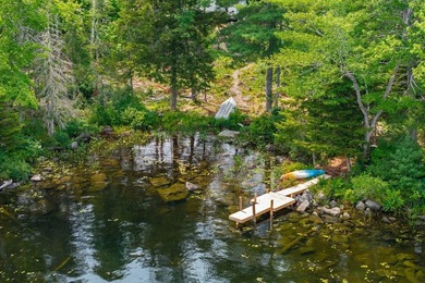Build your dream getaway on the shores of beautiful Cathance - photo 7