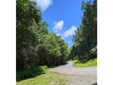 Beautiful wooded double lot totaling 11.17 acres, consisting of - photo 7