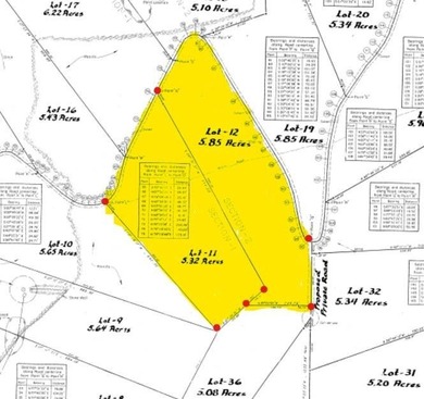 Beautiful wooded double lot totaling 11.17 acres, consisting of - photo 8