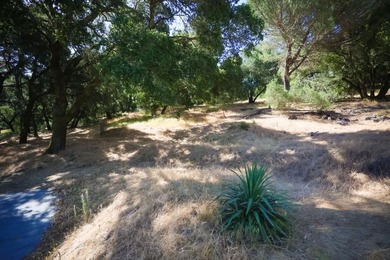 Welcome to your serene oasis in Scotts Valley! This charming - photo 14