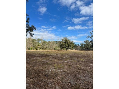Suwannee River Acreage For Sale in Old Town Florida