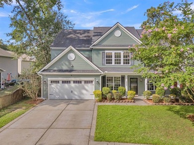 Stunning, single-owner home in Taylor Plantation on the Ashley - photo 1