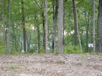 Wooded, Year Round Water Lot, Restricted Covenants, Smith Lake - Lake Lot For Sale in Arley, Alabama