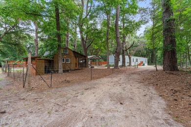 Experience the versatility of this unique Lady's Island property - photo 1