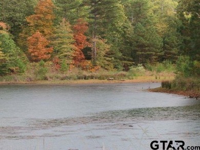 Lot 36A is a very large and beautiful wooded lot with frontage - photo 13