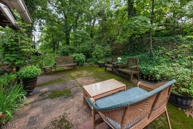 Charming LOG CABIN Home in Greenwood Lake's sought after - photo 17