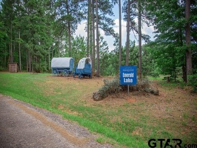 Lot 36A is a very large and beautiful wooded lot with frontage - photo 19
