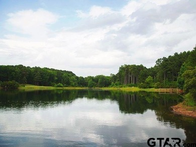 Lot 36A is a very large and beautiful wooded lot with frontage - photo 23
