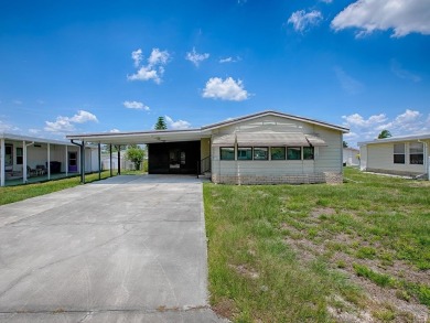 Lake Home For Sale in Tavares, Florida