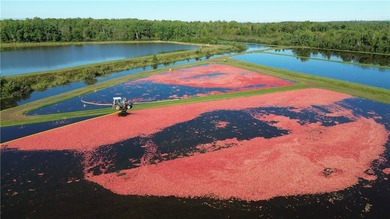 (private lake, pond, creek) Acreage For Sale in Exeland Wisconsin