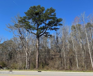 Seize this rare opportunity to own 7.7 acres of - photo 3