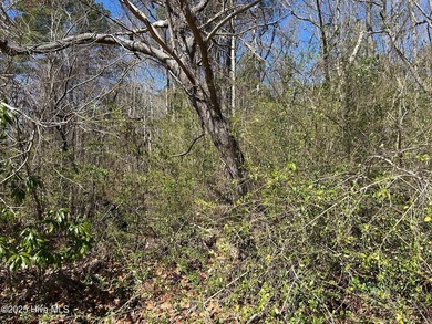 Seize this rare opportunity to own 7.7 acres of - photo 5