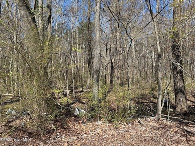 Seize this rare opportunity to own 7.7 acres of - photo 6