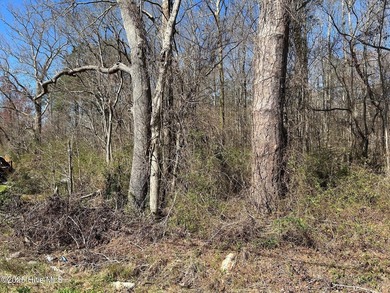 Seize this rare opportunity to own 7.7 acres of - photo 8