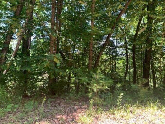 Dale Hollow Lake Lot For Sale in Albany Kentucky