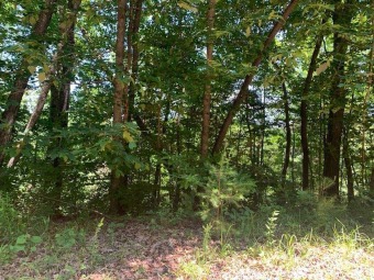 Lake Lot Off Market in Albany, Kentucky