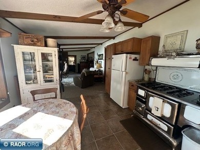 Stop the scroll-this is the lake place you've been waiting for! - photo 11