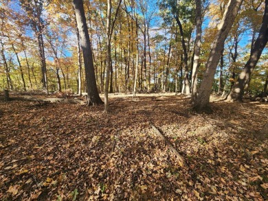 Lake Lot For Sale in Varna, Illinois