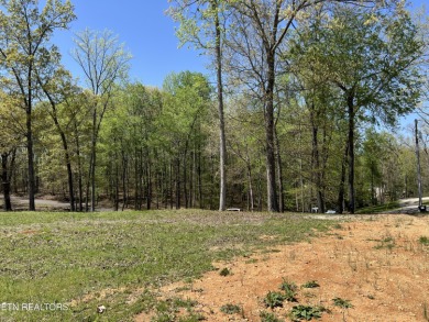 Watts Bar Lake Lot For Sale in Rockwood Tennessee