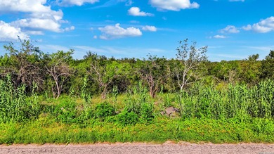 Guadalupe River - Guadalupe County Acreage For Sale in Seguin Texas