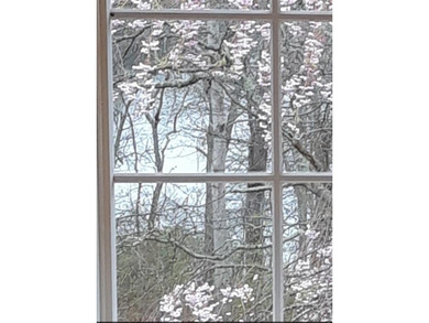 This spectacular scenic opportunity in a highly sought-after - photo 21