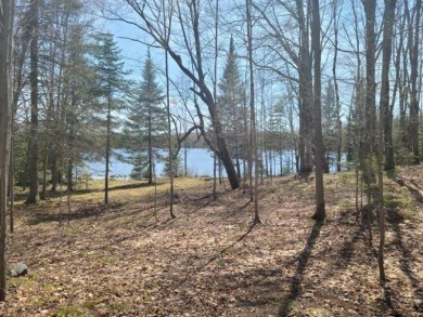 Incredible privacy parcel on the shores of Birch Lake! Southern - Lake Lot For Sale in Wincester, Wisconsin