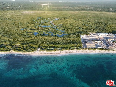 A ONCE-IN-A-LIFETIME BEACHFRONT DEVELOPMENT OPPORTUNITY IN - photo 8