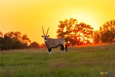 Lake Springs Ranch is the epitome of a true East Texas - photo 2