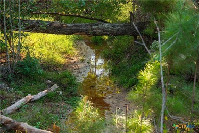Lake Springs Ranch is the epitome of a true East Texas - photo 8