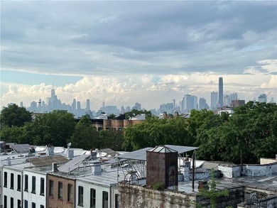 Welcome to 176 Prospect Park West, landmark nine unit - photo 10