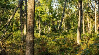 Lake Acreage For Sale in Black River Falls, Wisconsin