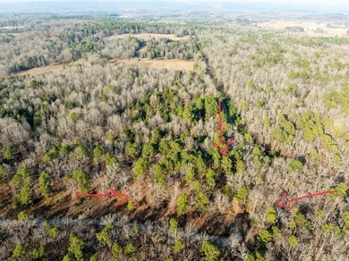 Beautiful wooded lot in the desirable Primrose Creek - photo 11