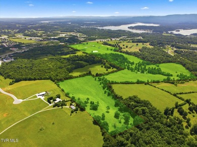 PRIME COMMERCIAL DEVELOPMENT OPPORTUNITY - HISTORIC DANDRIDGE - photo 9