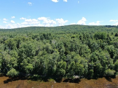 Lake Lot For Sale in Danforth, Maine