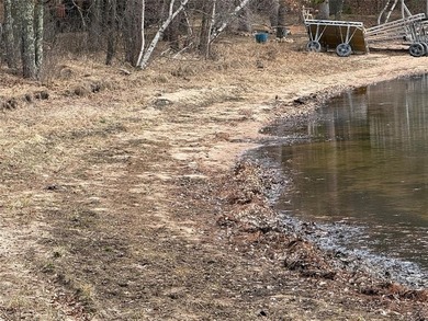 Endless possibilities await on Bass Lake! This newly constructed - photo 28