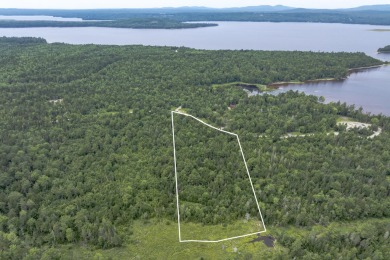 Graham Lake Acreage For Sale in Waltham Maine