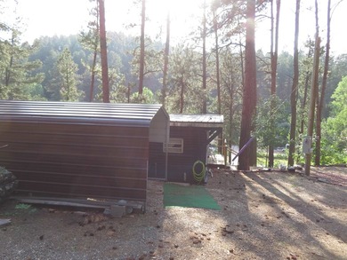 LOCATION! LAKE ACCESS! LOCATION! Escape to the Black Hills with - photo 12