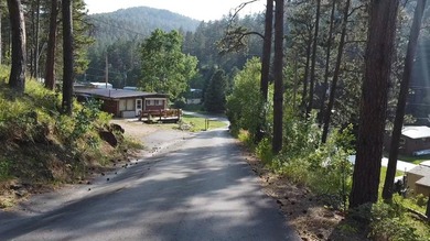 LOCATION! LAKE ACCESS! LOCATION! Escape to the Black Hills with - photo 14