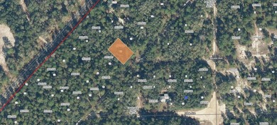 Georges Lake Lot For Sale in Florahome Florida